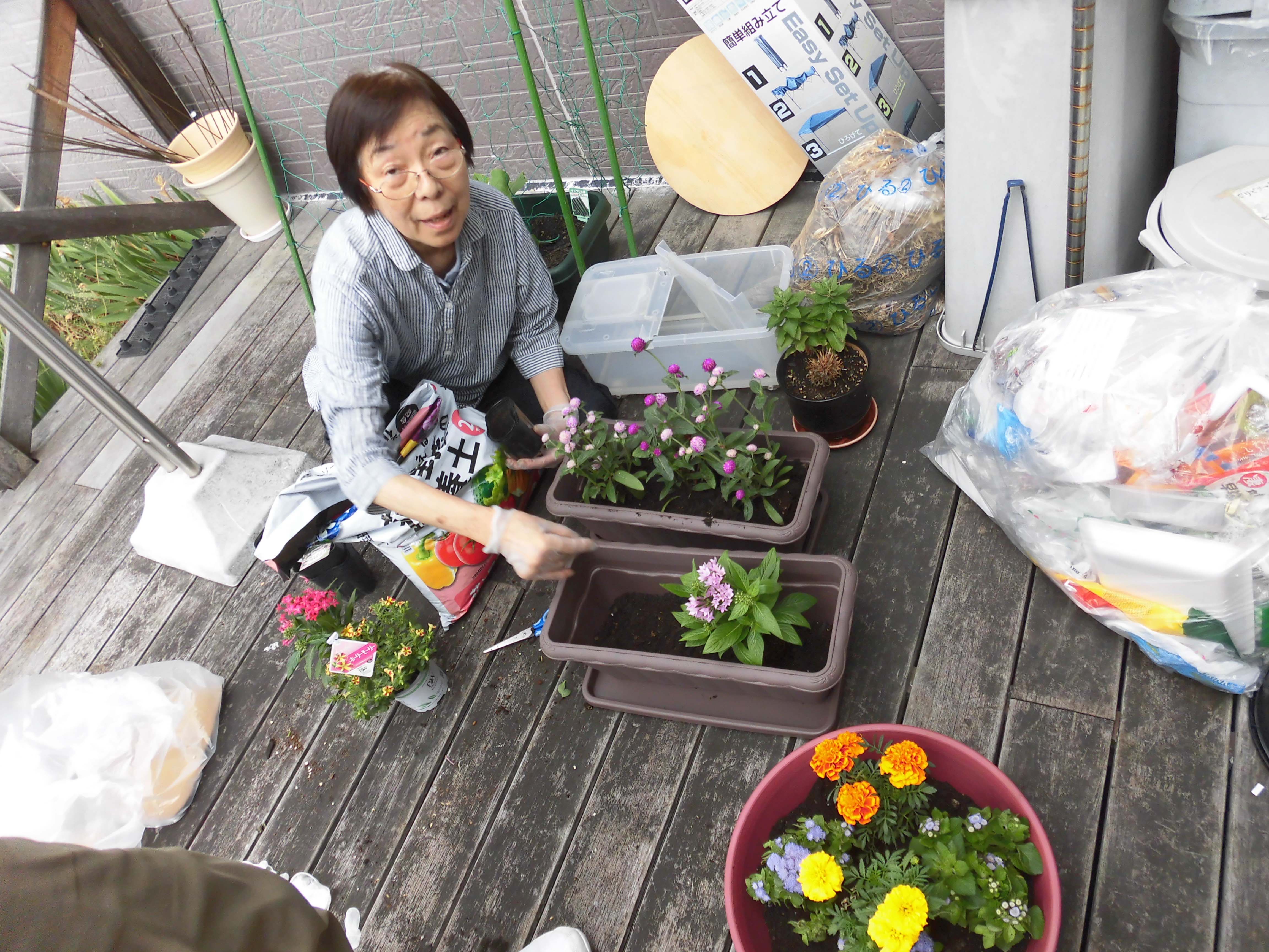 花と野菜作りをはじめました　その①