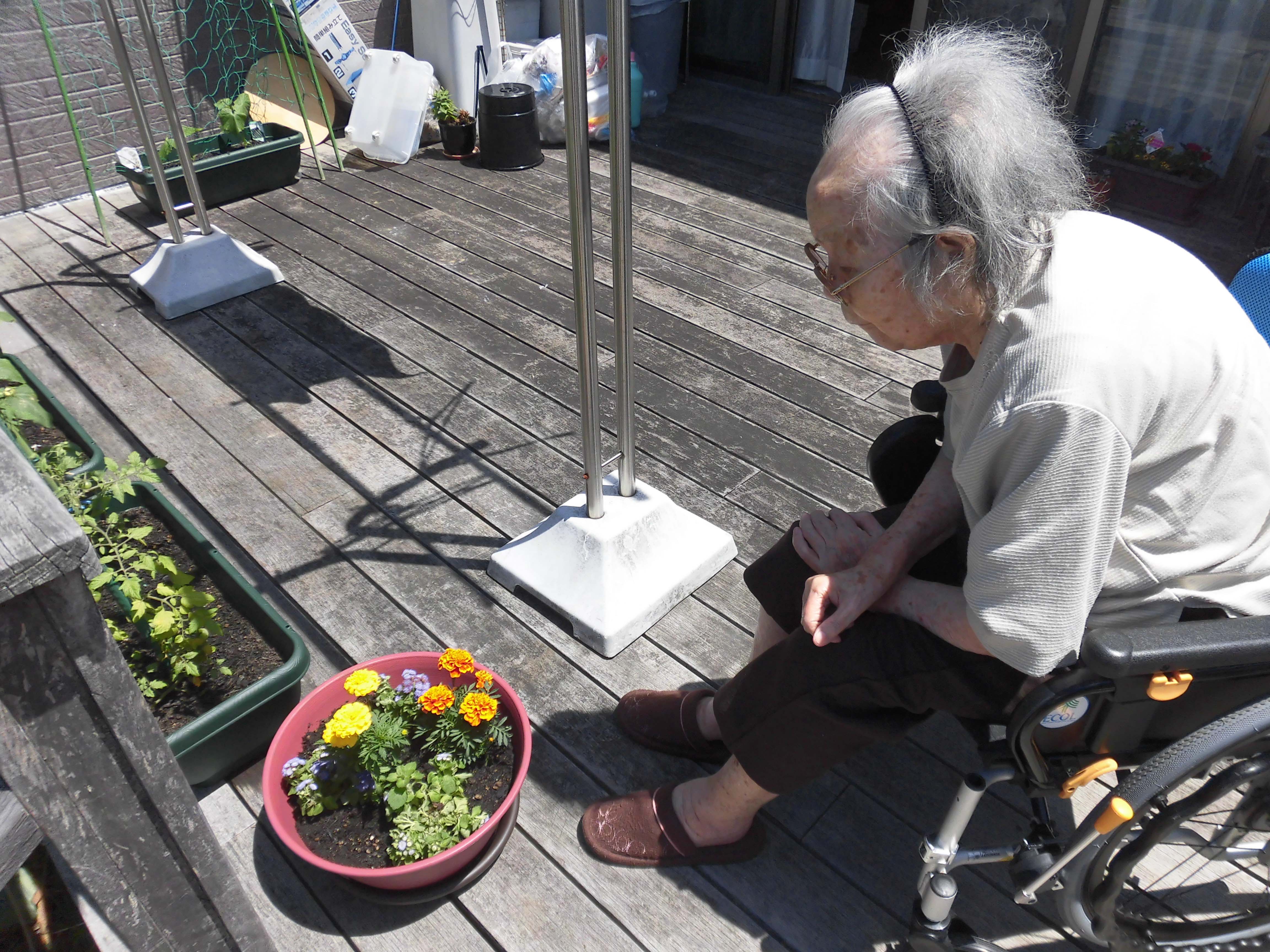 花と野菜作りをはじめました　その②