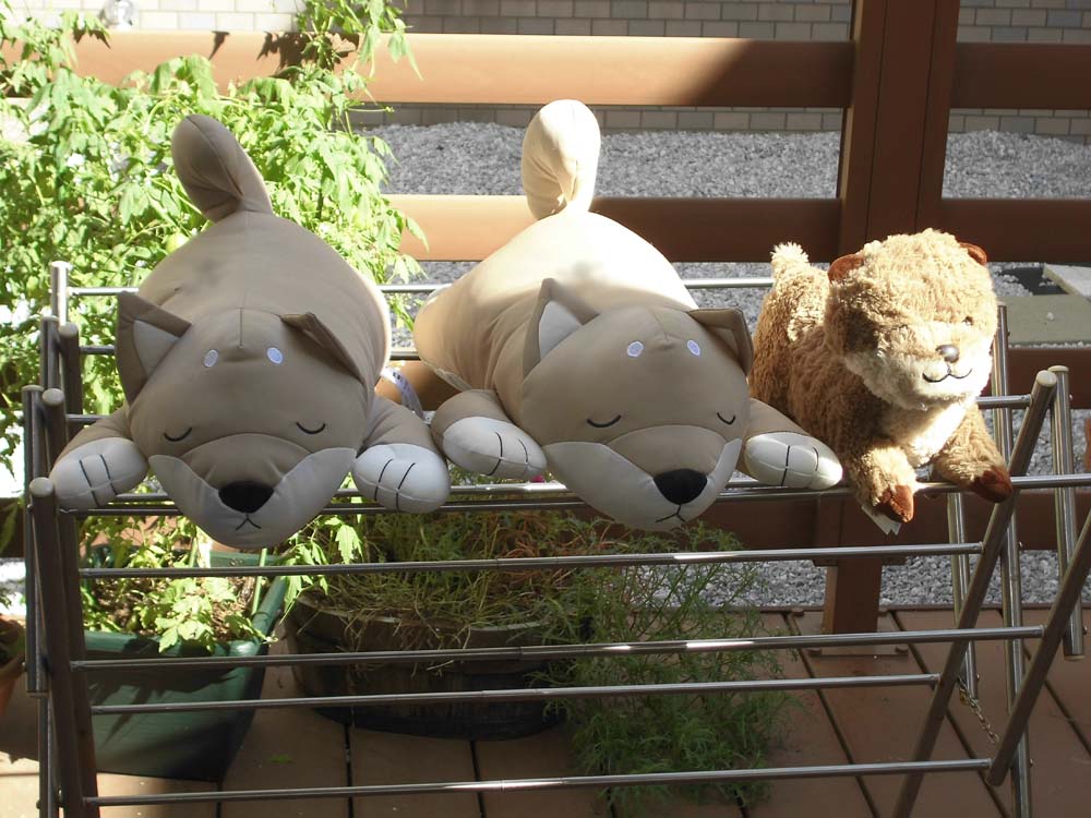 晴天のある日
