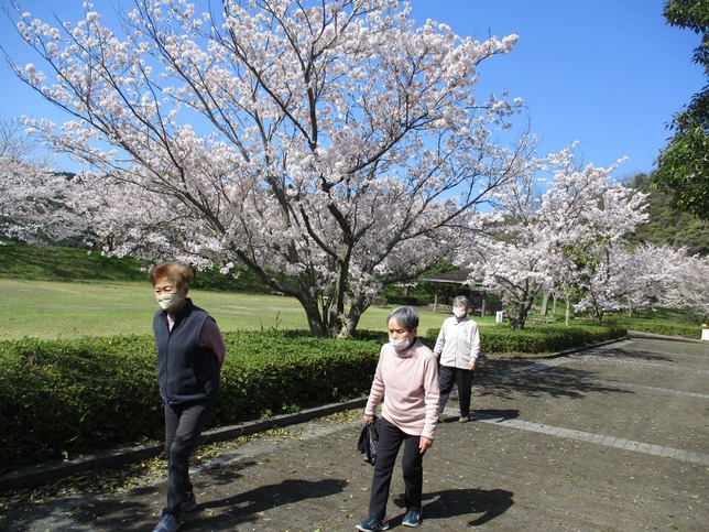 楽しみにしていた花見