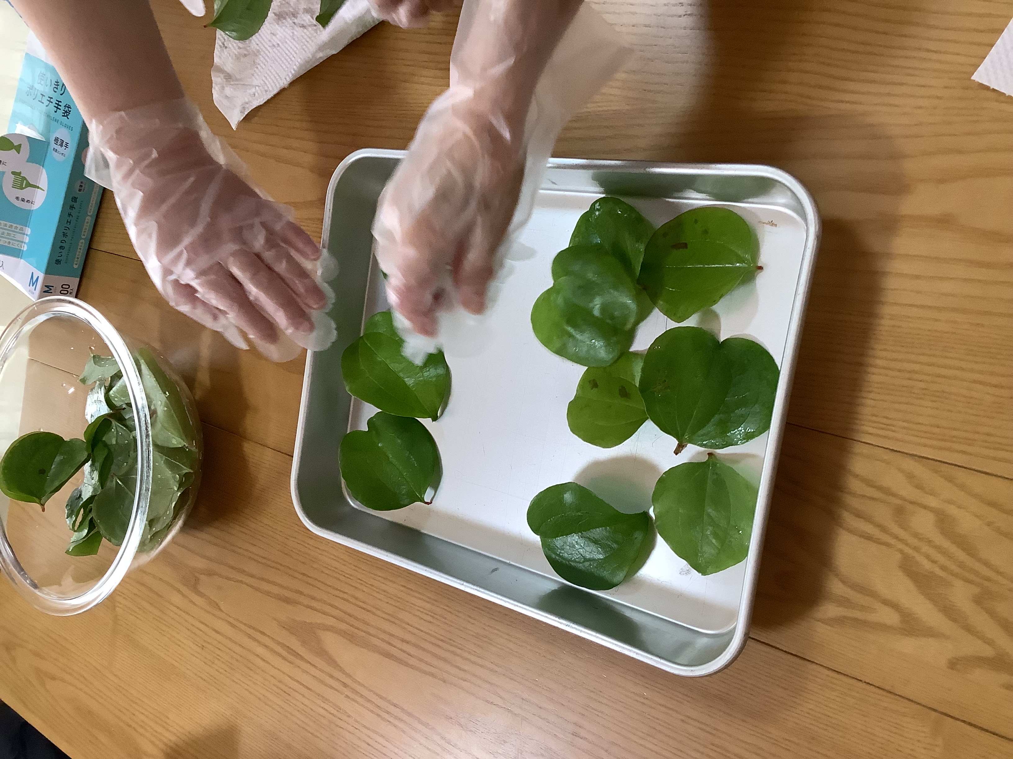 ツツジ狩りと柏餅作り