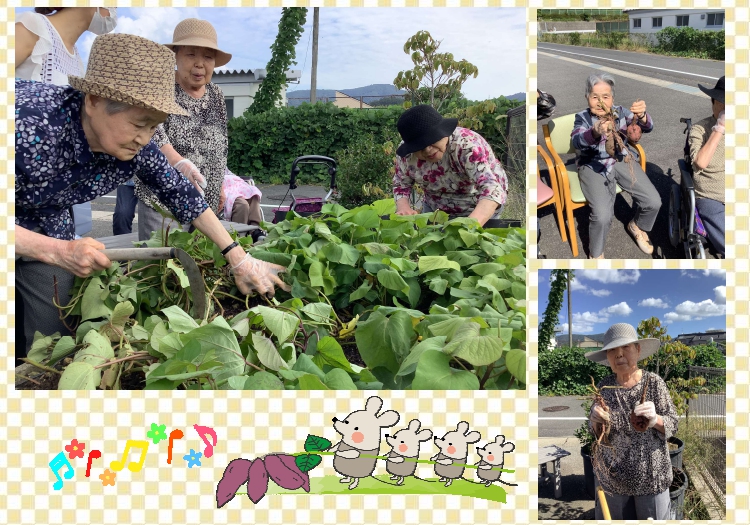 芋掘り