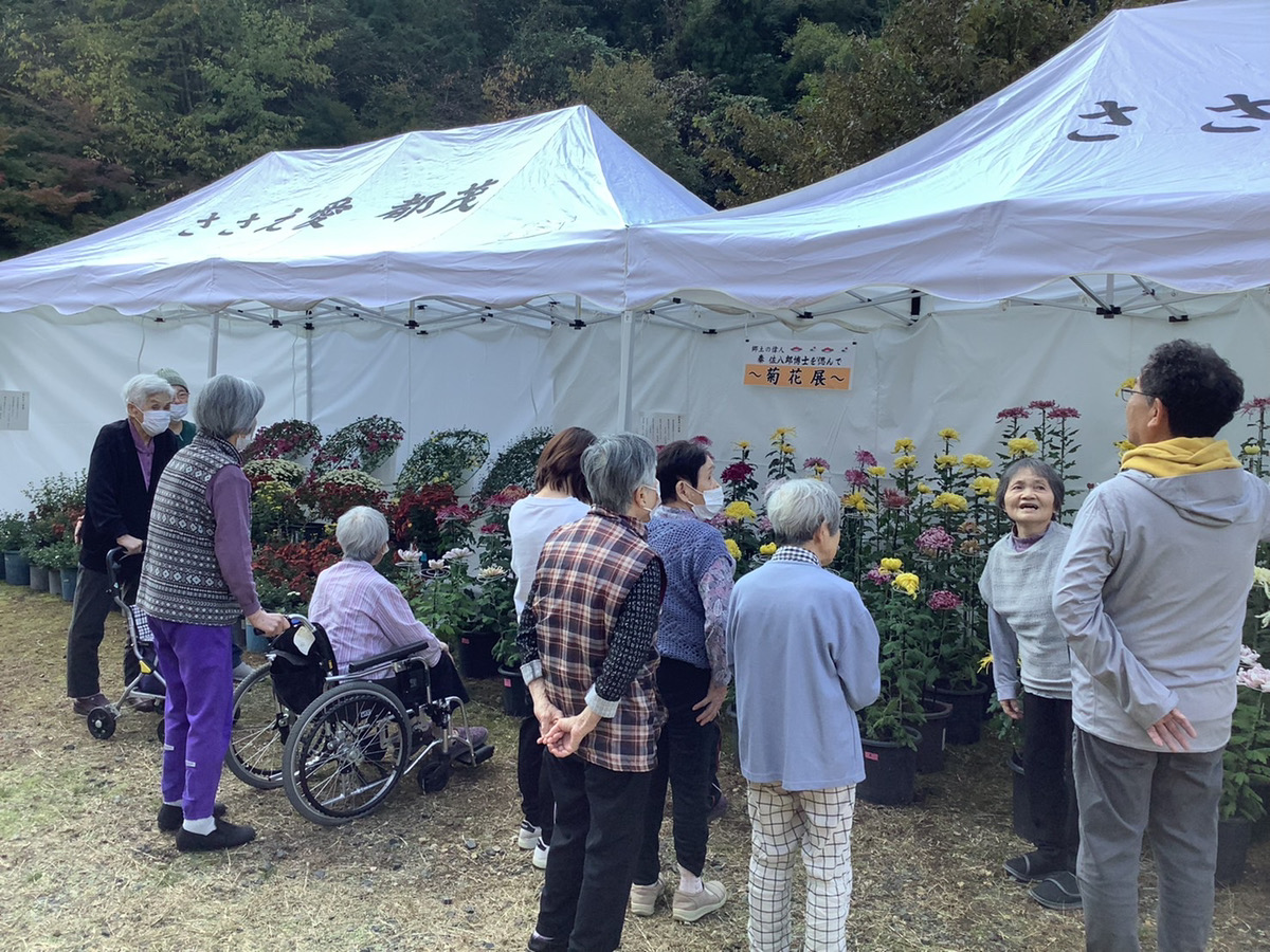 菊花展