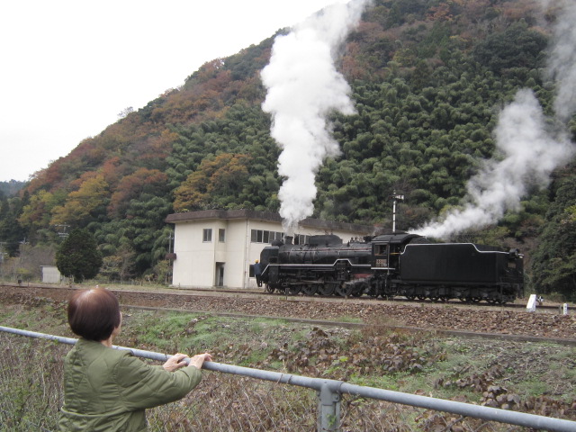 落ち葉の道